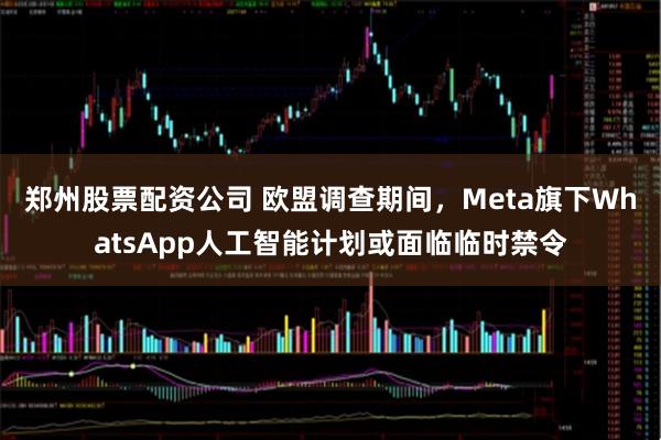 郑州股票配资公司 欧盟调查期间，Meta旗下WhatsApp人工智能计划或面临临时禁令